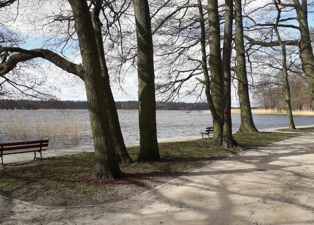 Szczecinek Regional Local Tourist Organization景点图片