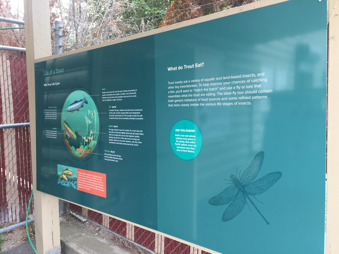 Summerland Trout Hatchery And Visitor Centre景点图片
