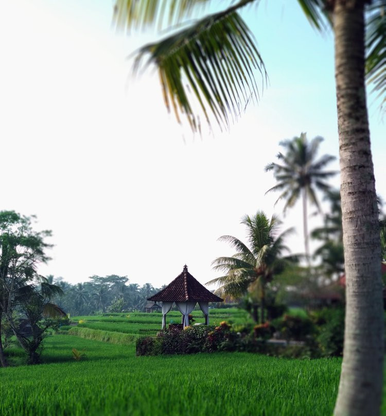 Griya Tampak Siring主图