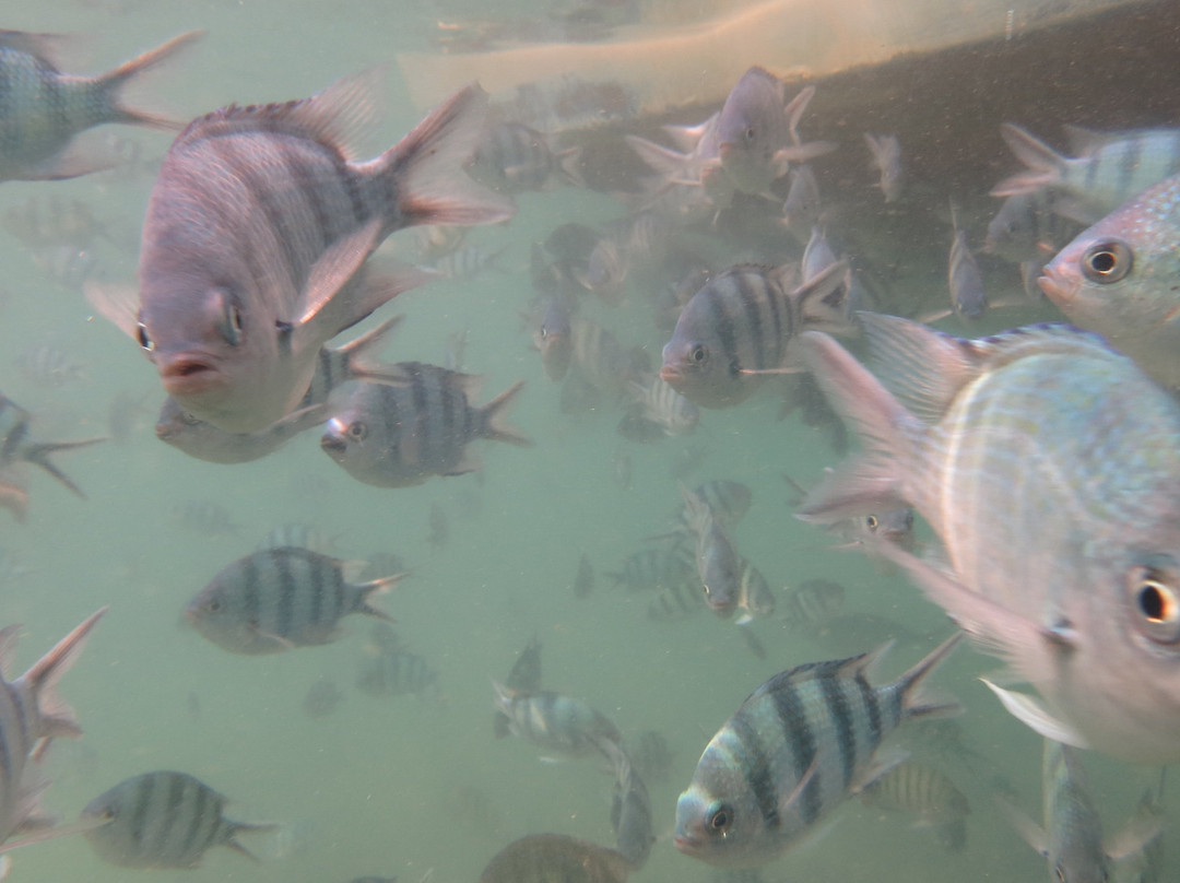 Dive Seacret-玛岛必去景点