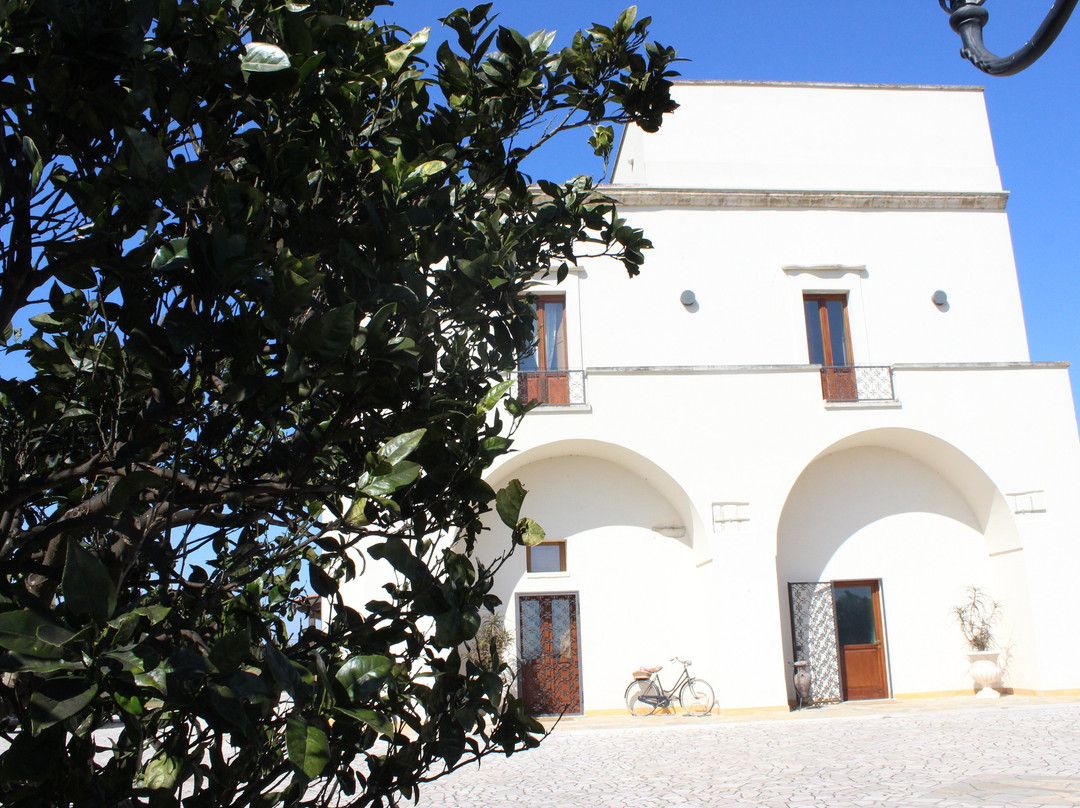 Tenuta Degli Agrumi主图