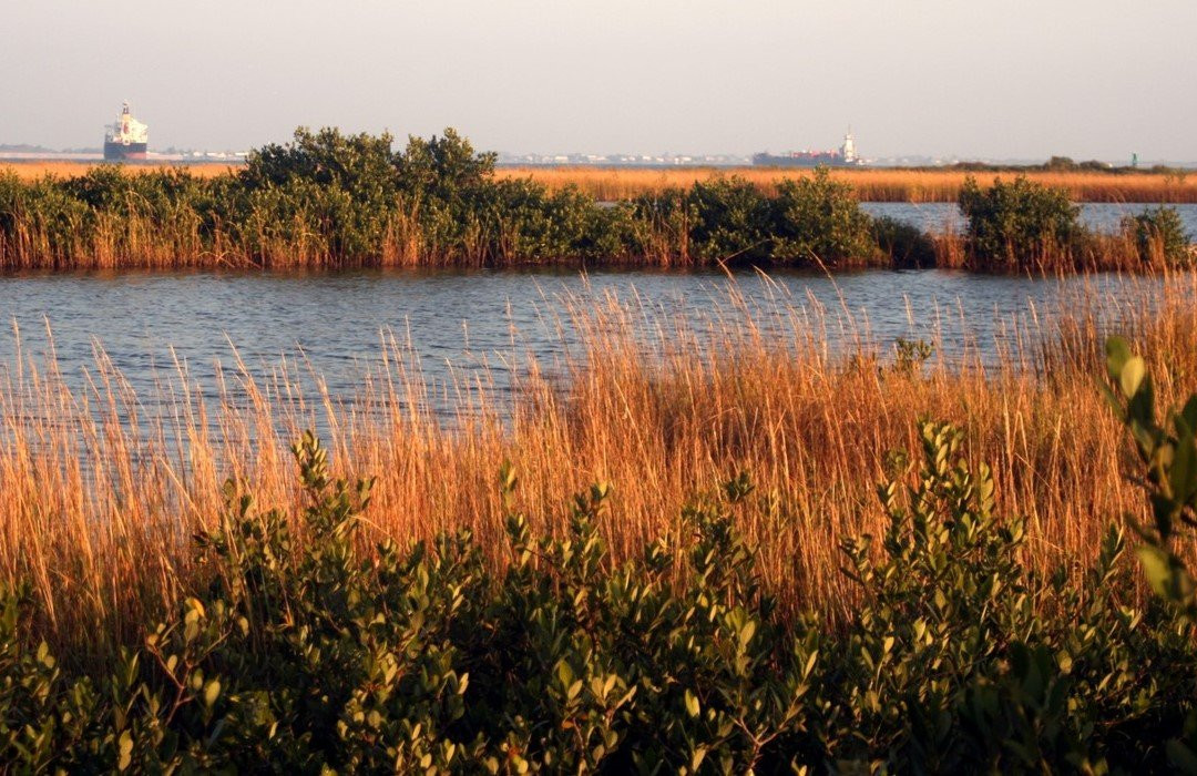 East End Lagoon Nature Preserve-盖维斯顿必去景点