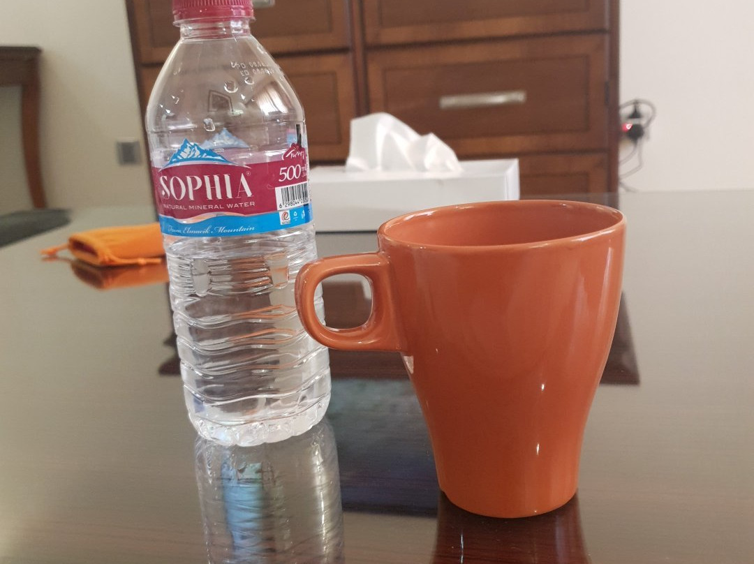 Ewan Ajman Suites Hotel主图