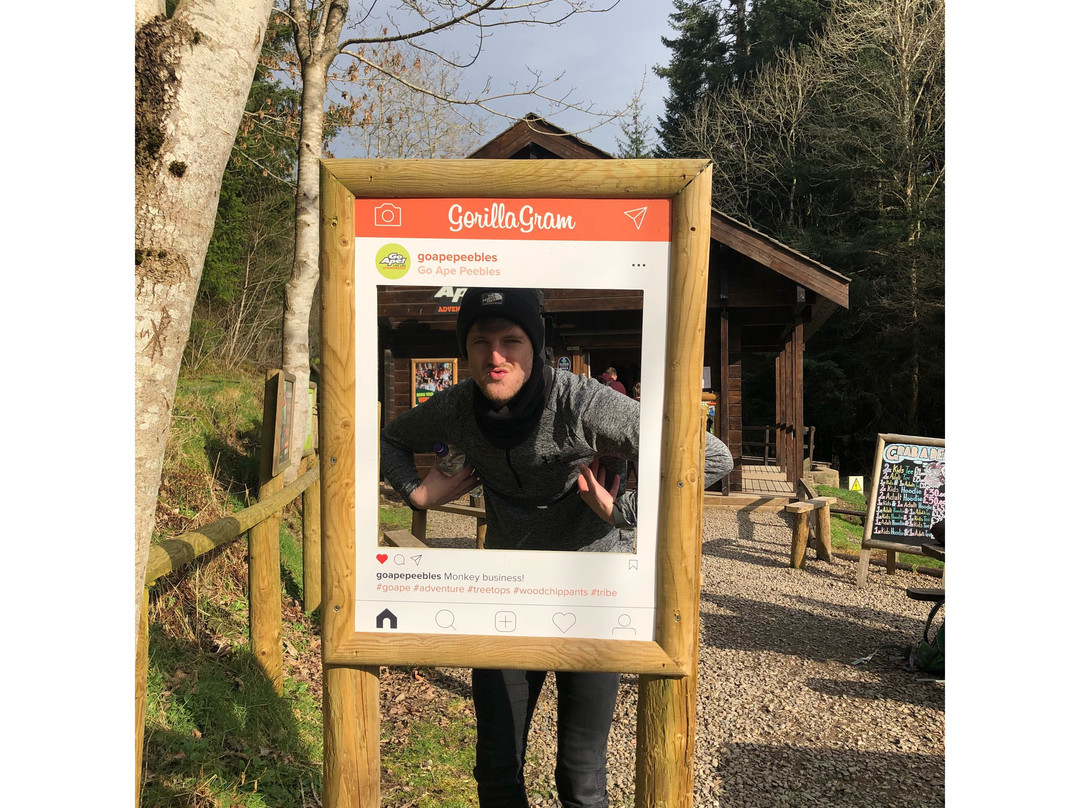 Go Ape Glentress Forest, Peebles-皮布尔斯必去景点
