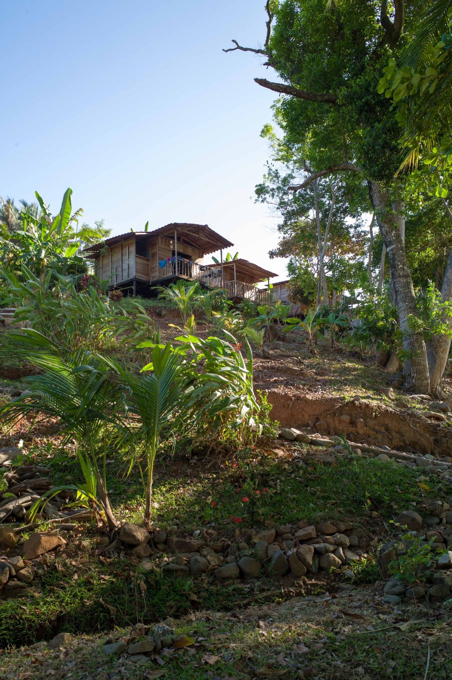 Iguana Beach Eco Resort-浴室