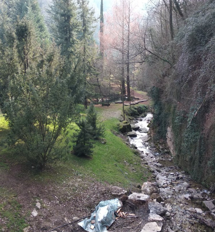Orto Botanico delle Conifere景点图片