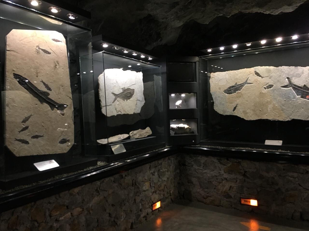 Museo De Minerales & Fosiles-萨卡特卡斯必去景点