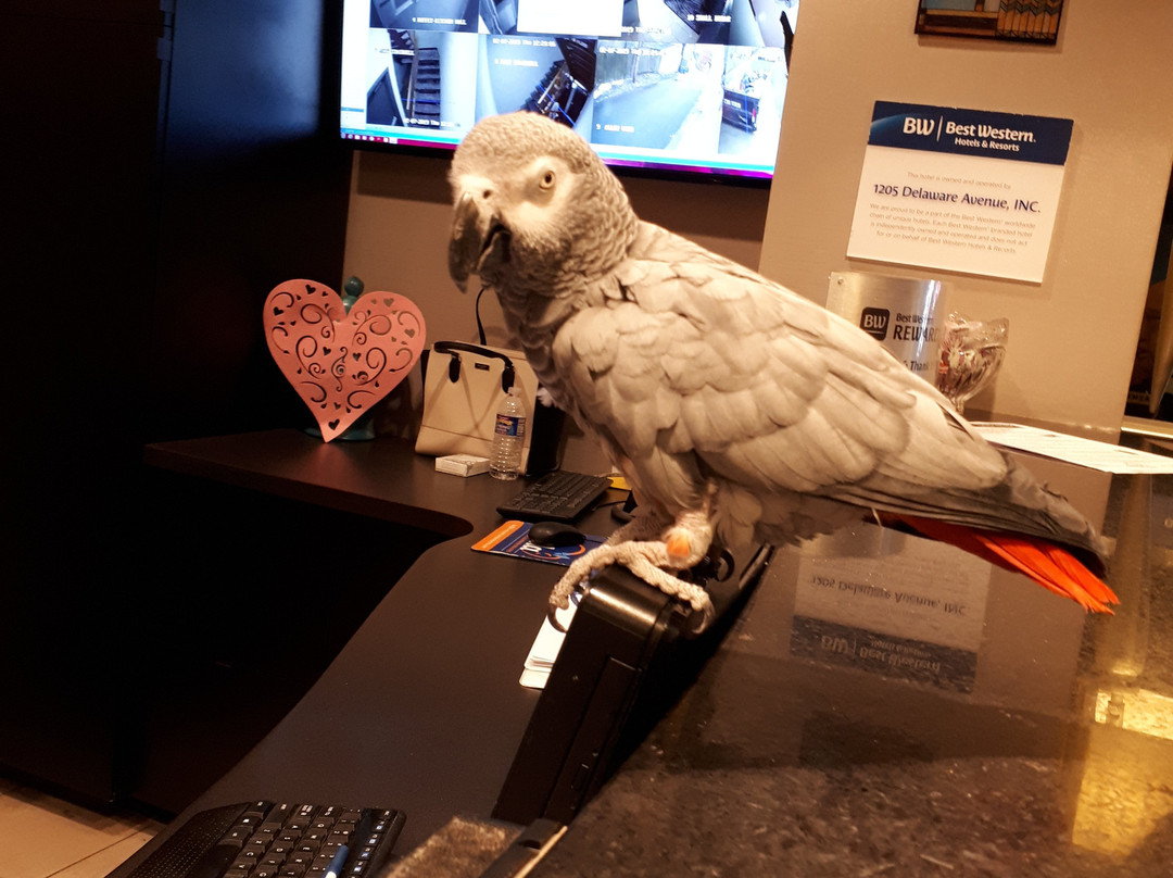 贝斯特韦斯特大道酒店主图