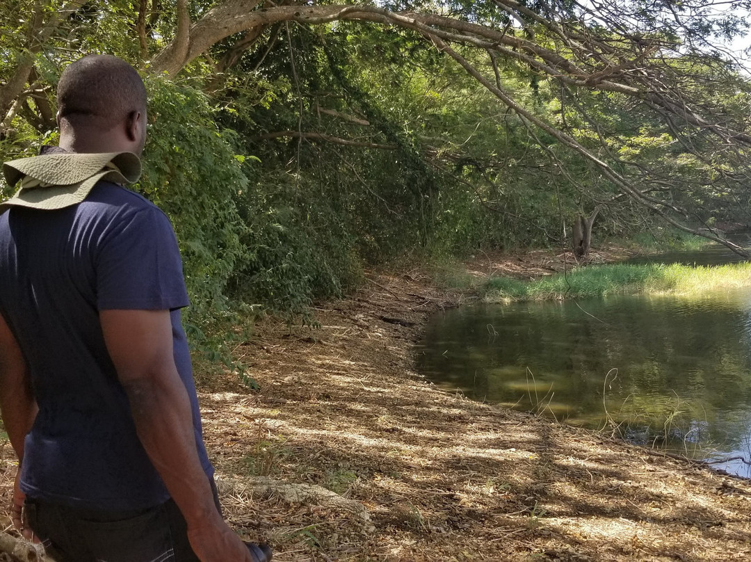 Tobago Off-Road Expeditions-斯卡伯勒必去景点