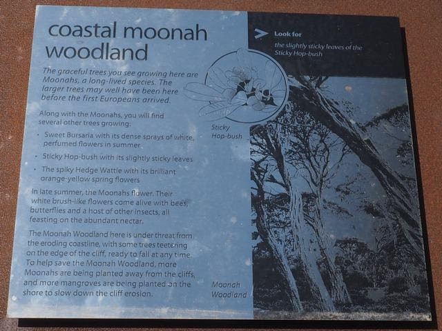 Scenic Estate Conservation Reserve-菲利普岛必去景点