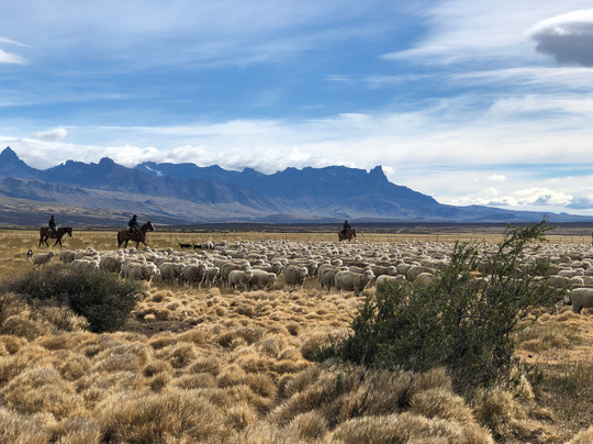 Patagonia Line-纳塔莱斯港必去景点
