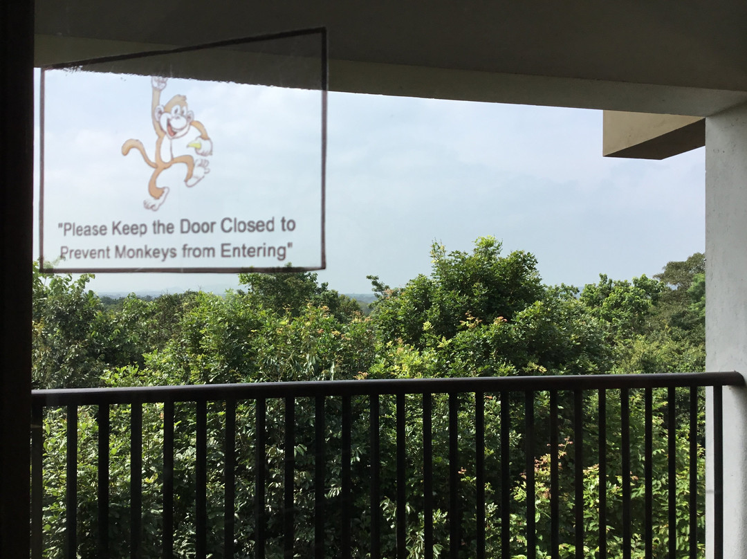 山湖林精品酒店主图