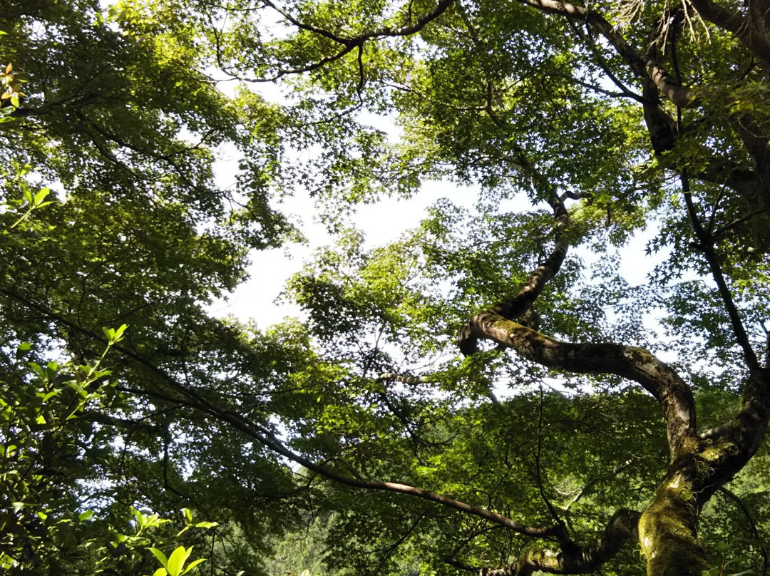 Enmeiji Temple-河内长野市必去景点