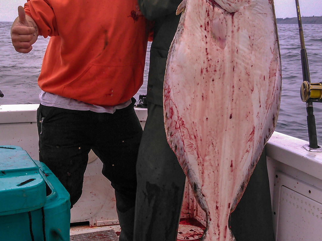 Seldovia Alaskan Fishing Charters景点图片