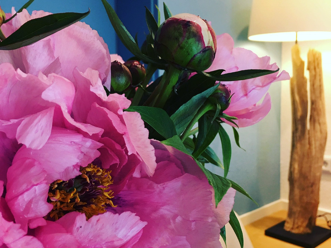 Boutique Hotel Reschen主图