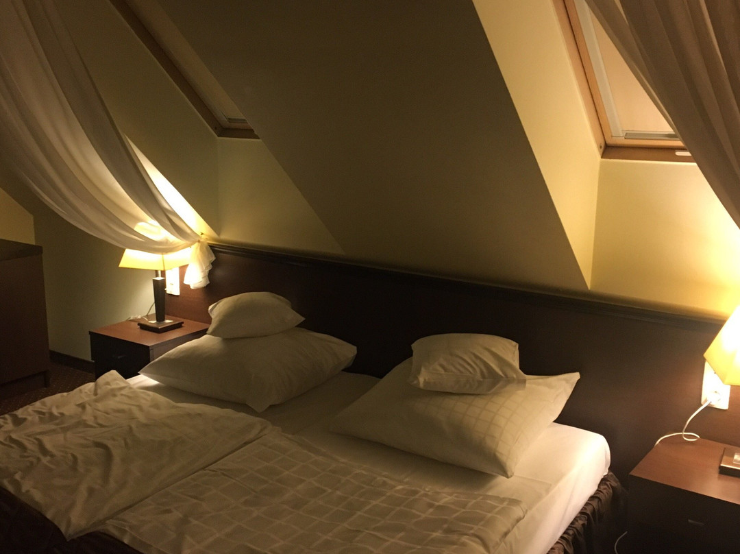 Hotel Pod Filarami主图