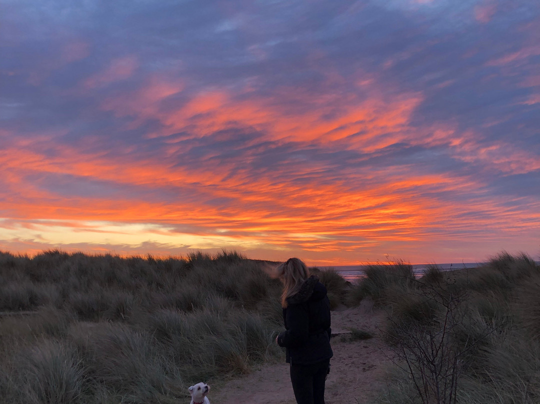 The Sun Inn Alnmouth主图