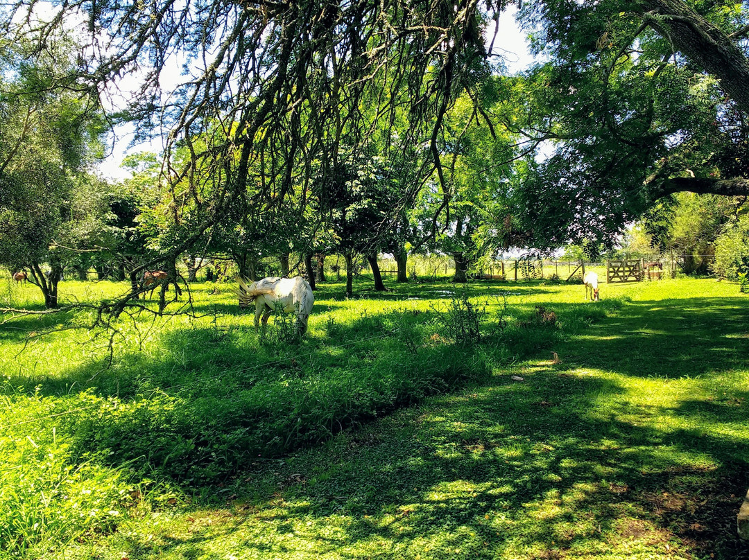 La Horqueta Ranch主图