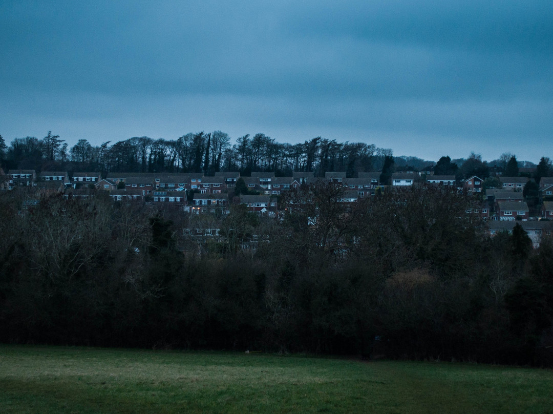 Selsdon Wood Nature Reserve景点图片