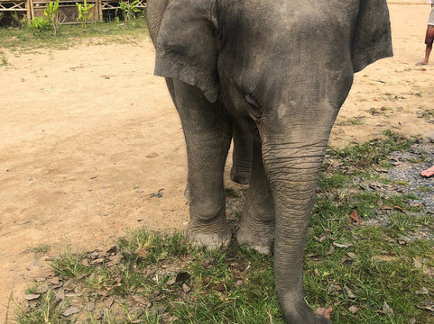 Koh Samui Tour & Transportation-查汶海滩必去景点