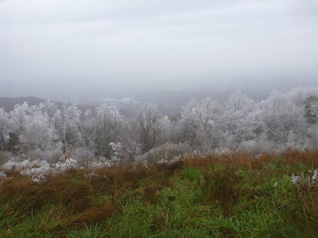 Wind Rock Off Road Park-Oliver Springs必去景点