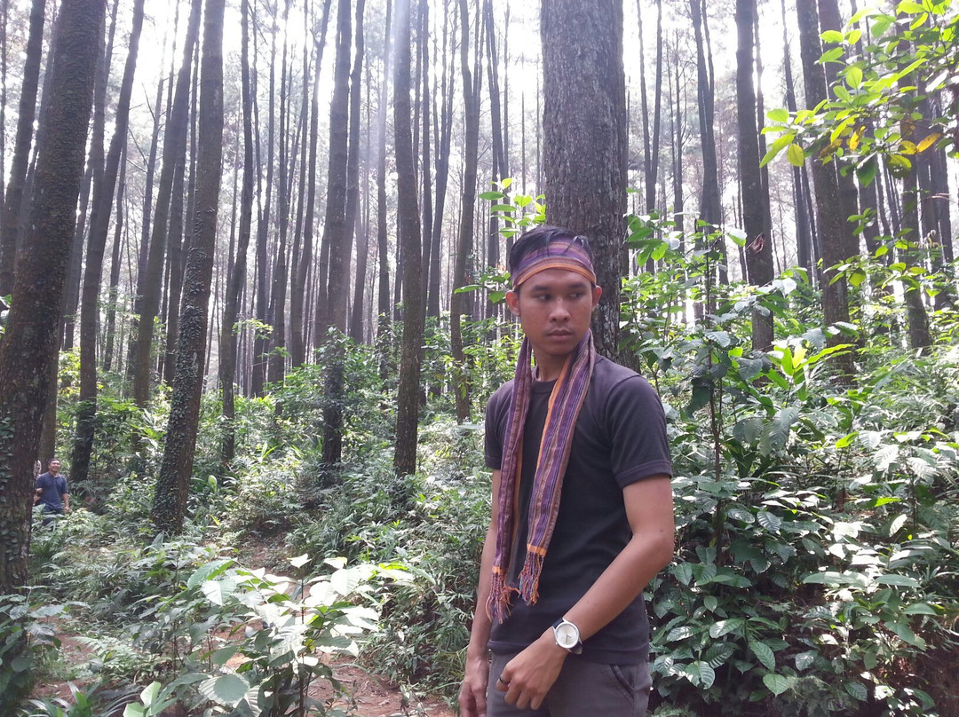 Mount Pancar Park-茂物必去景点