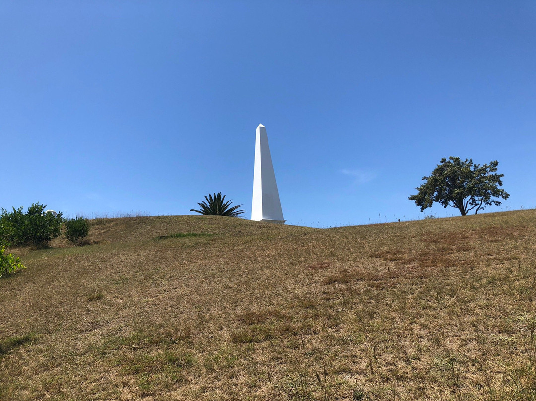 The Obelisk-纽卡斯尔必去景点