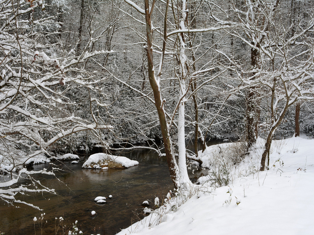 Stoney Fork Campground and B&B主图