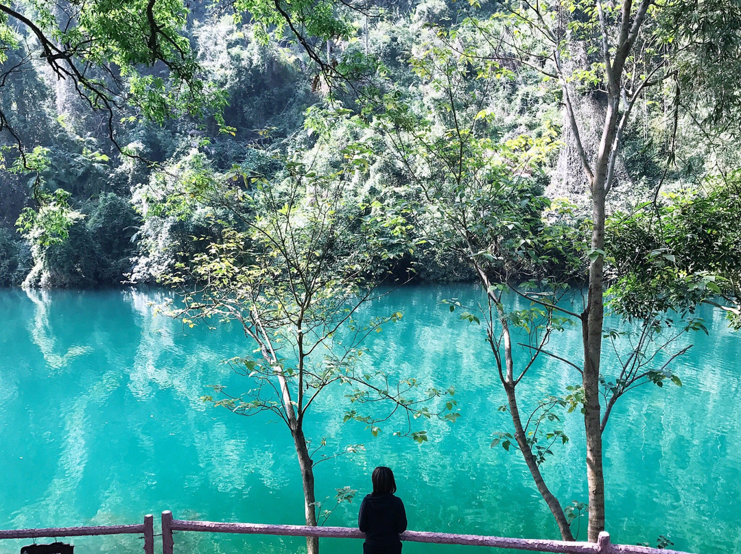 鼎湖山景点图片