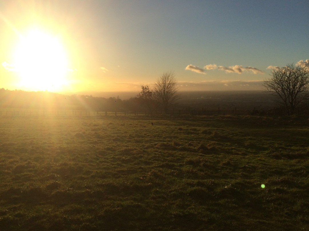 Werneth Low Country Park景点图片