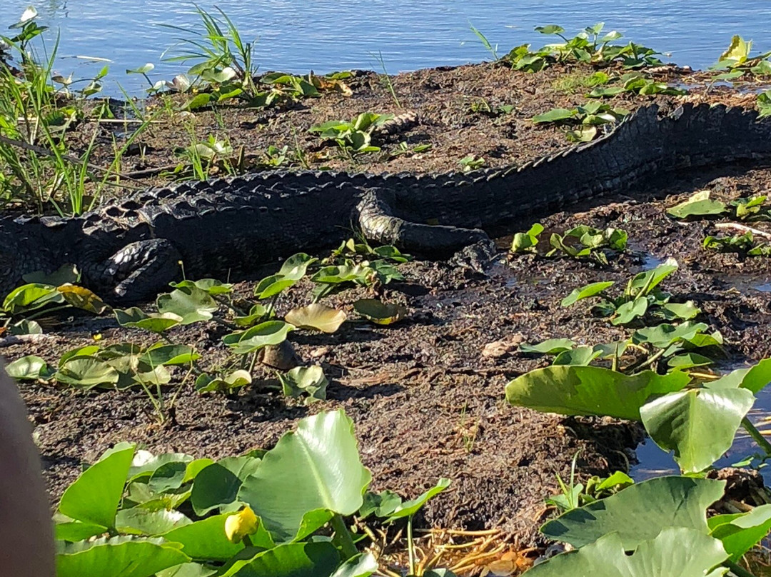 Everglades Holiday Park-劳德代尔堡必去景点