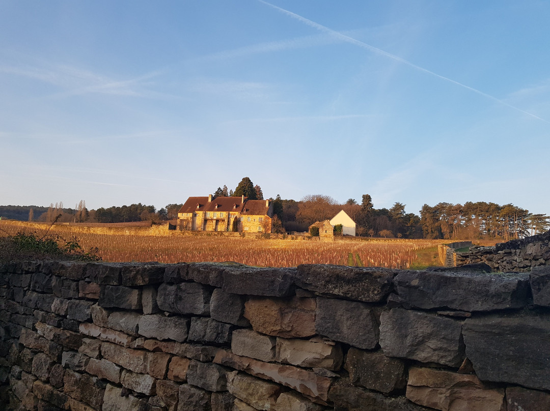 Logis Hôtel Chez Jeannette主图