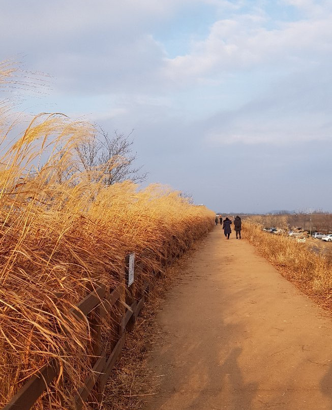Junam Reservoir-昌原市必去景点