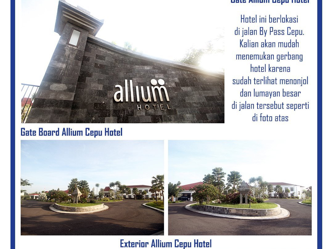 Allium Cepu Hotel主图