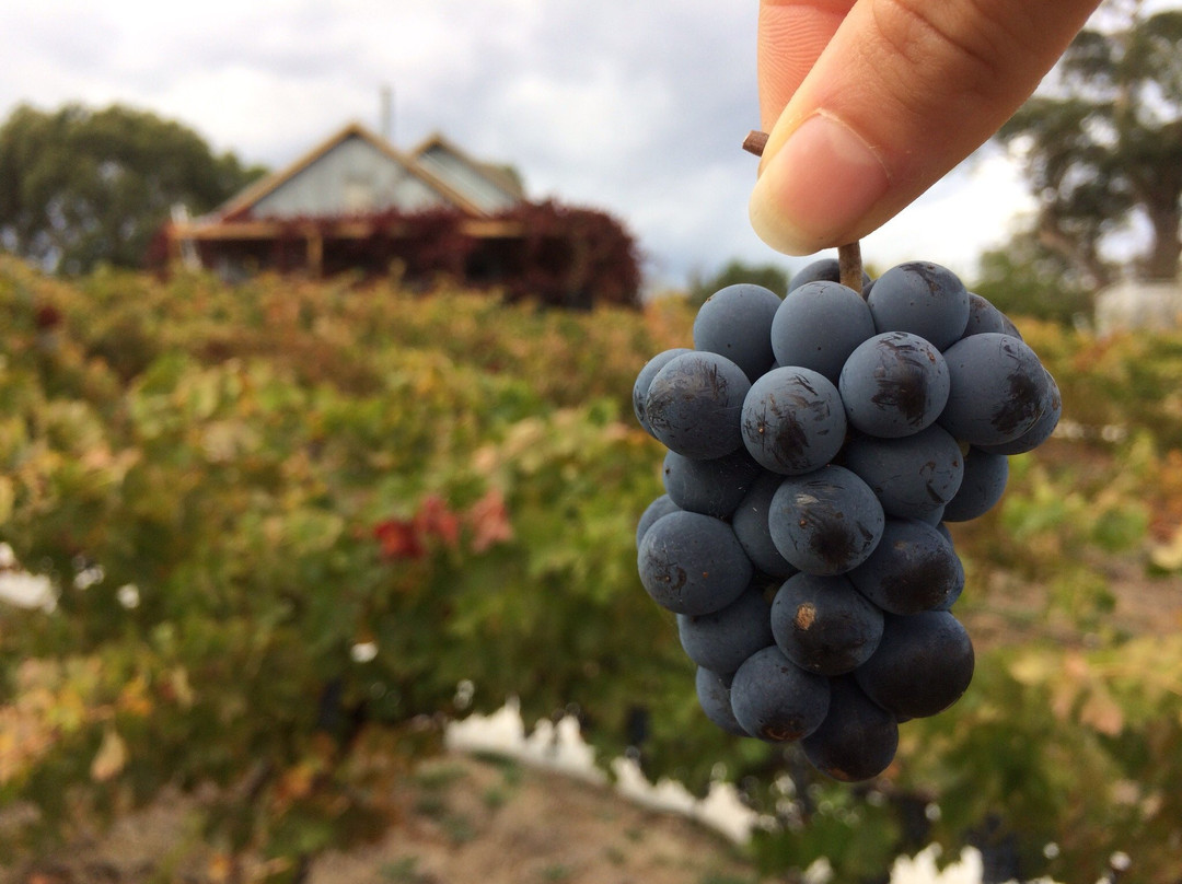 Zig Zag Road Wines-Drummond North必去景点