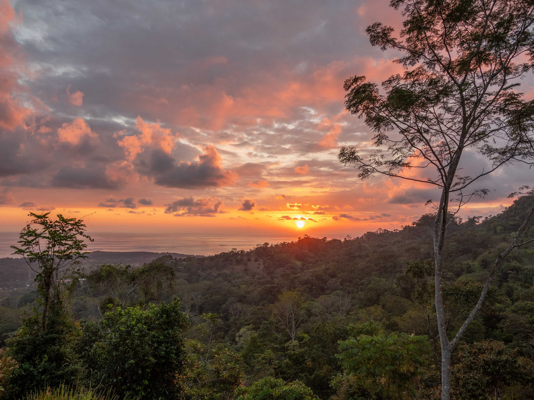 Golden Pineapple Villas主图