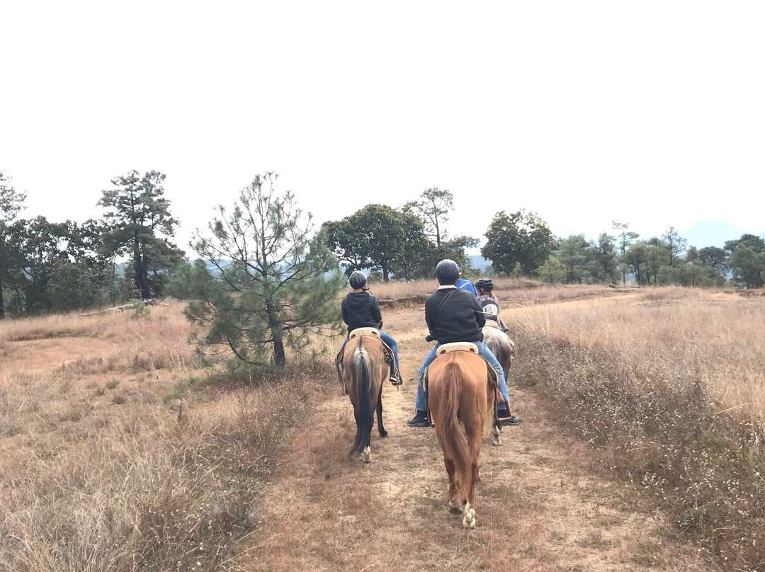 Cabalgatas Valle景点图片