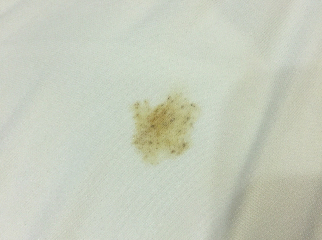 One Vittoria Hotel主图