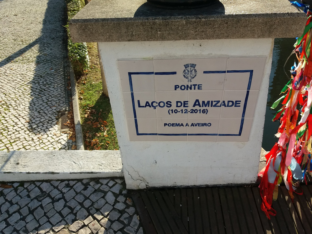 Ponte Lacos de Amizade景点图片