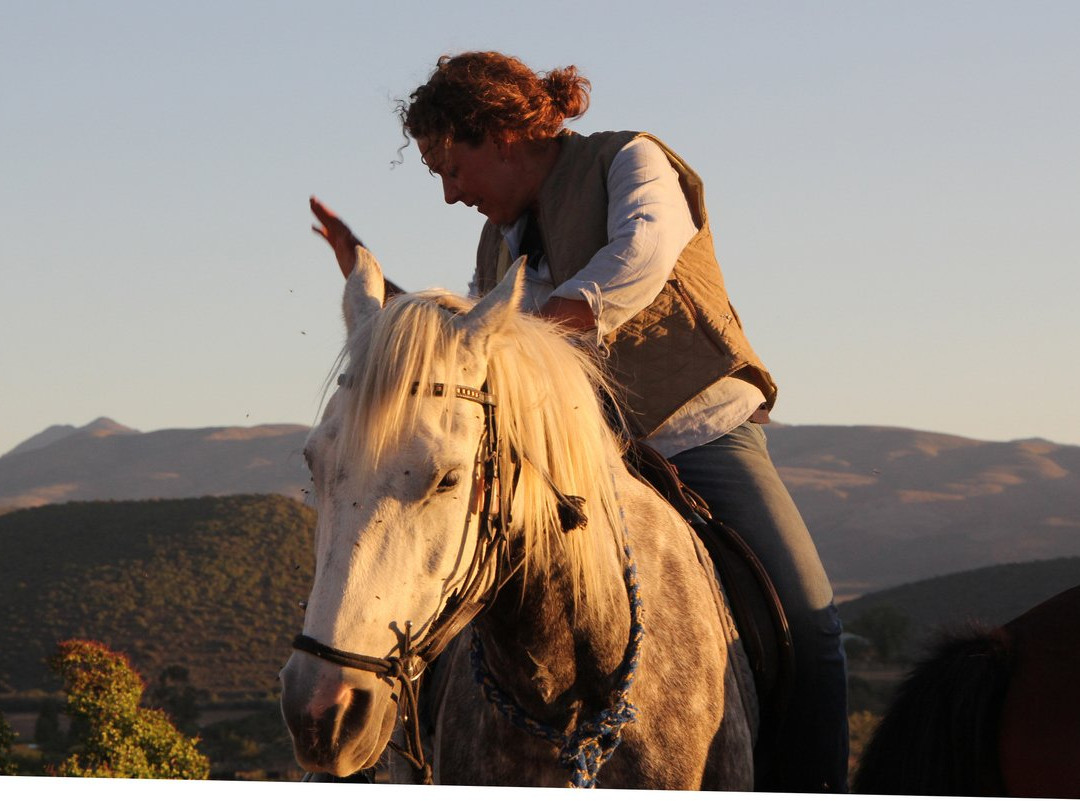 De Rust Horseriding - Klein Karoo Horse Adventures景点图片