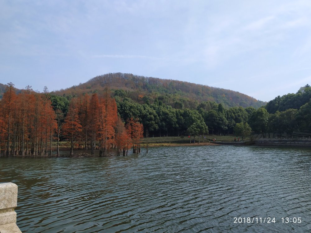 九真山国家森林公园-武汉市必去景点