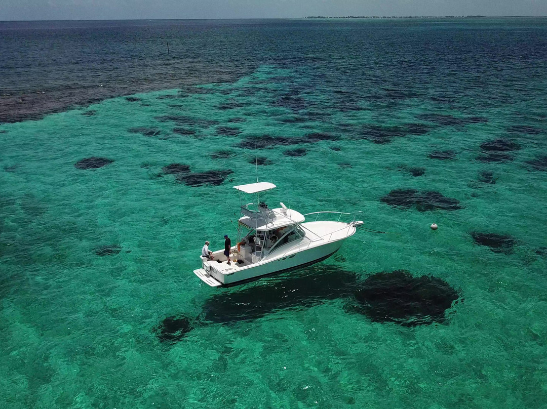 Cayman Snorkel Co-西湾必去景点