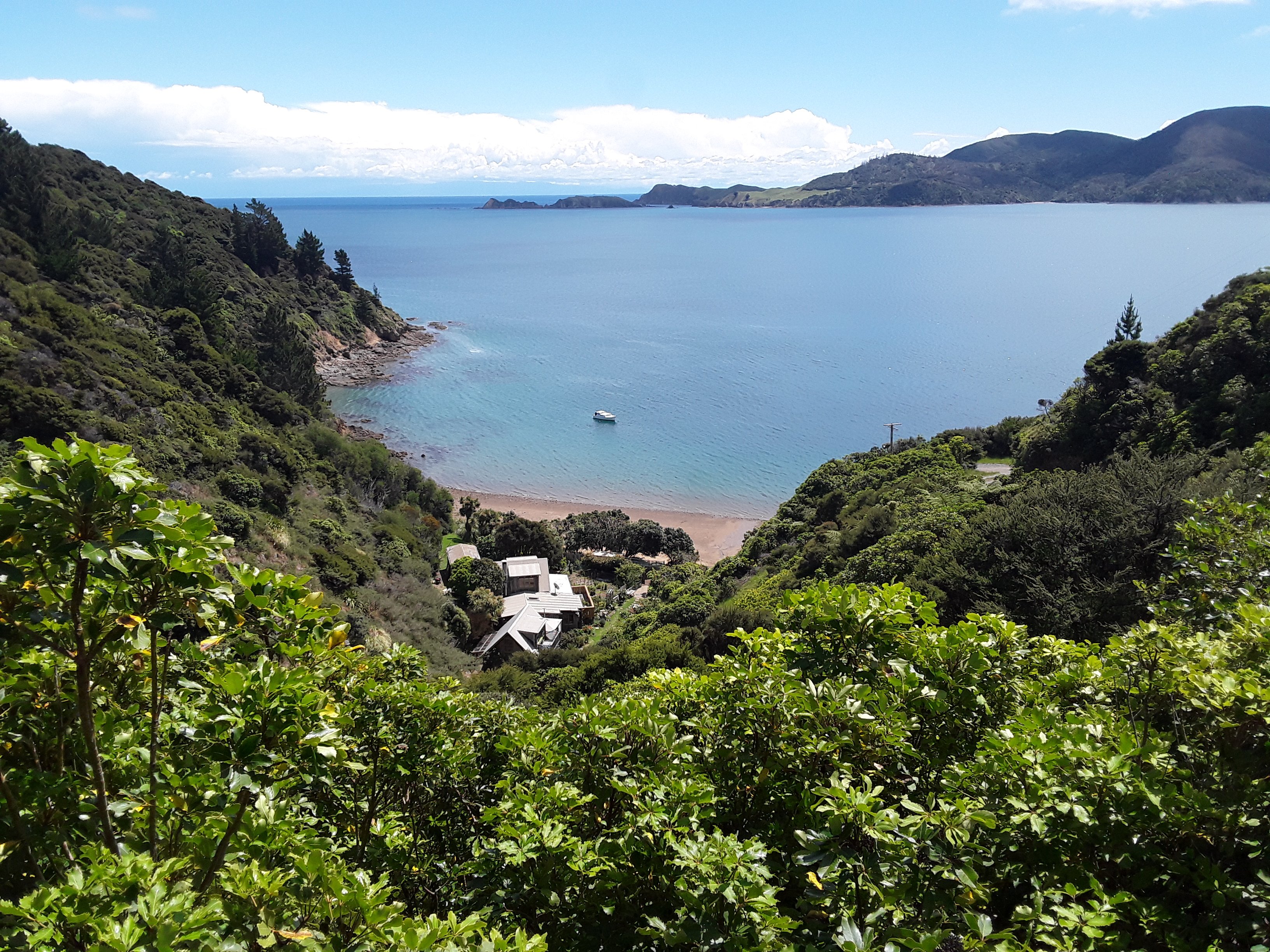 Ngaio Bay Ecostay B&B-酒店景观