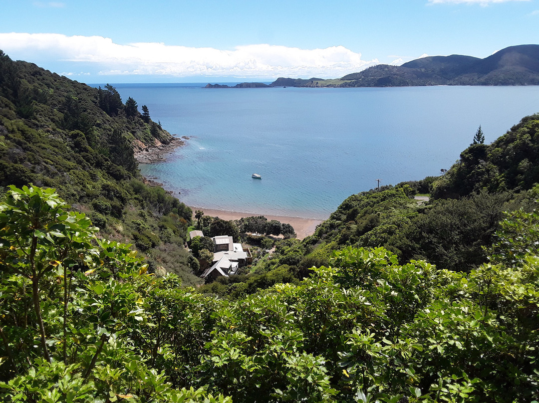 Ngaio Bay Ecostay B&B主图
