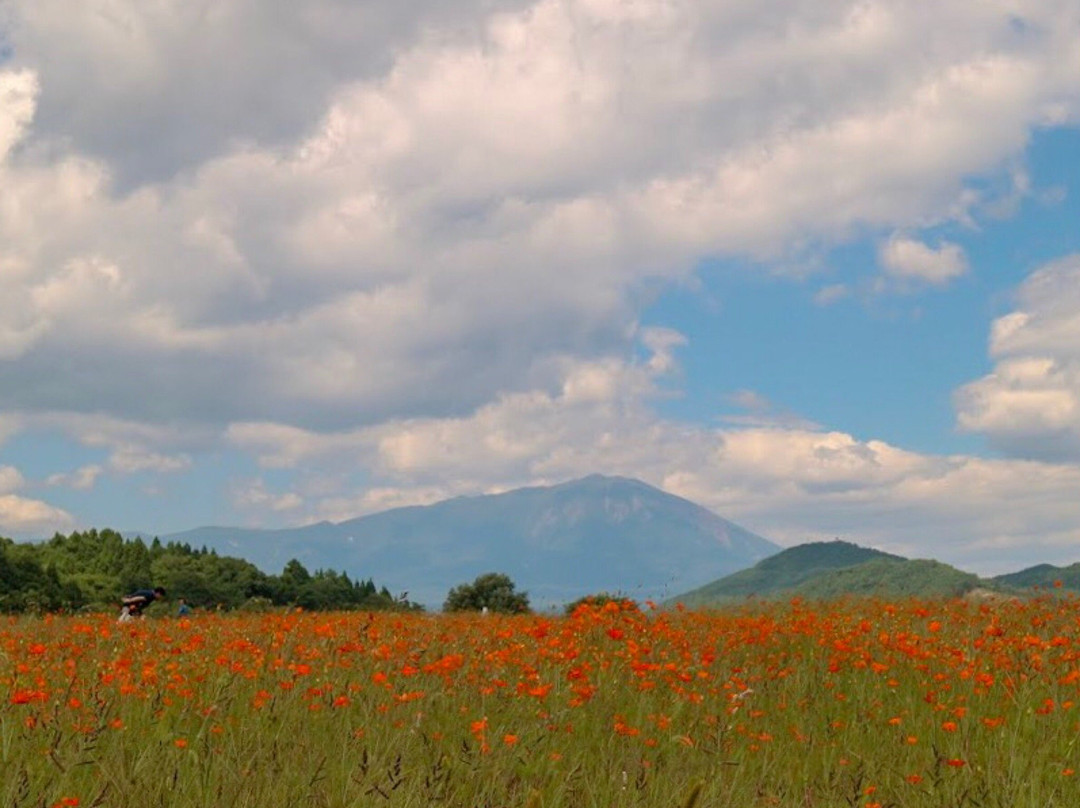 Gosho Lake Park Choba District Orchards-雫石町必去景点