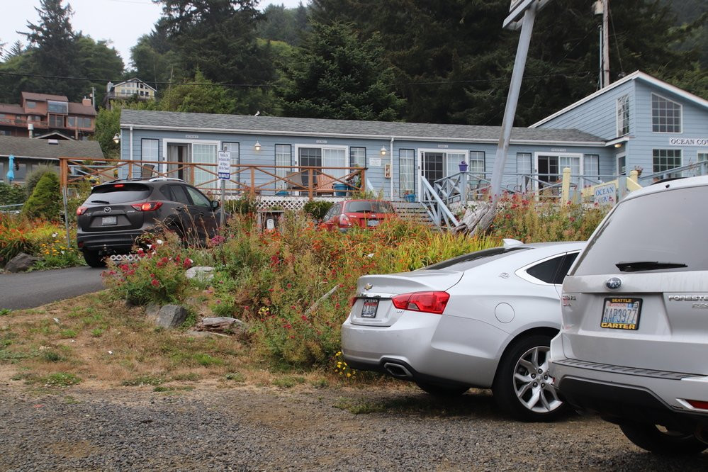 Bazalgette the Whale at Whale Park-亚查茨必去景点