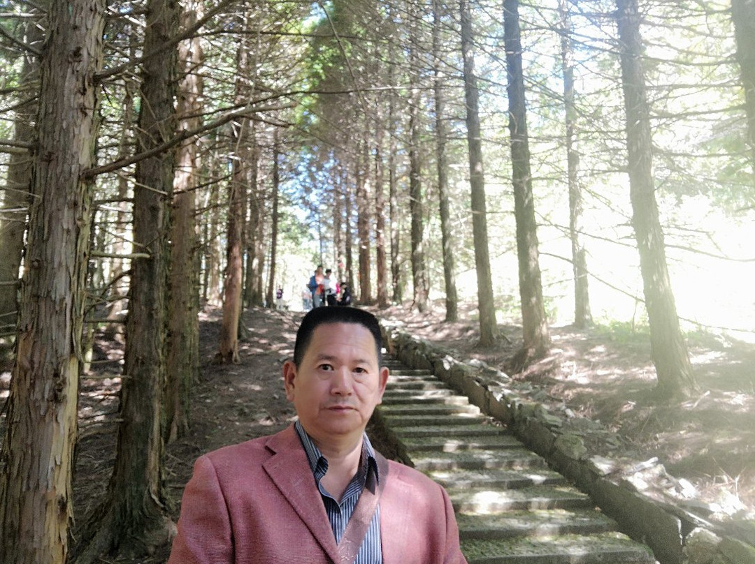 青田石门洞森林公园-青田县必去景点