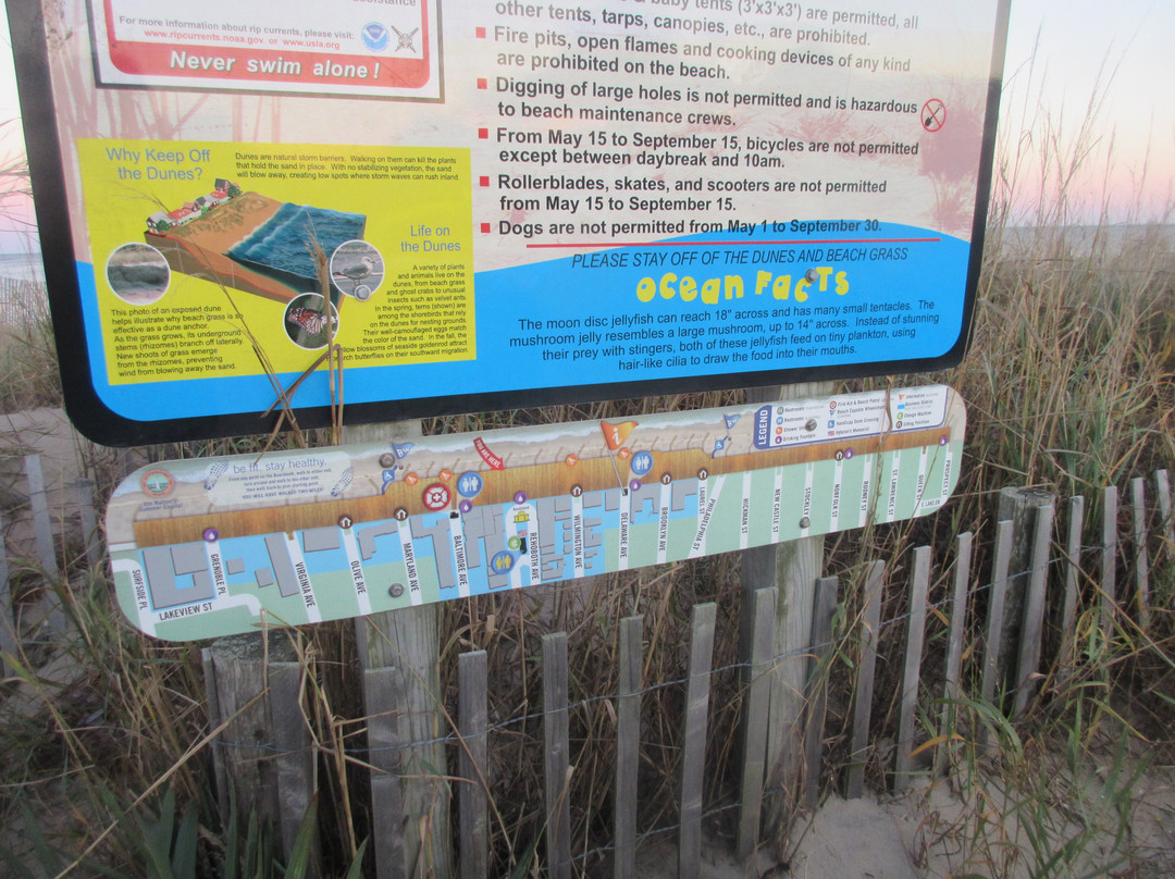 Dune Nature Park-里霍博斯比奇必去景点