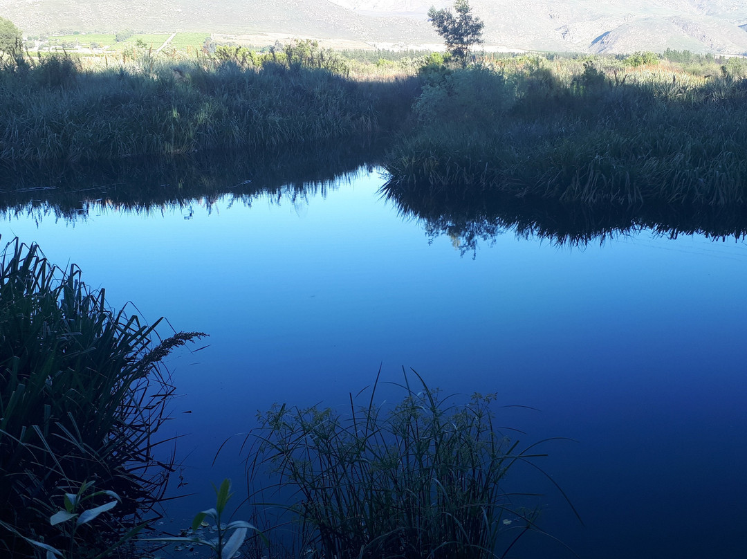 Kardouw Country Retreat - Tree Tops主图