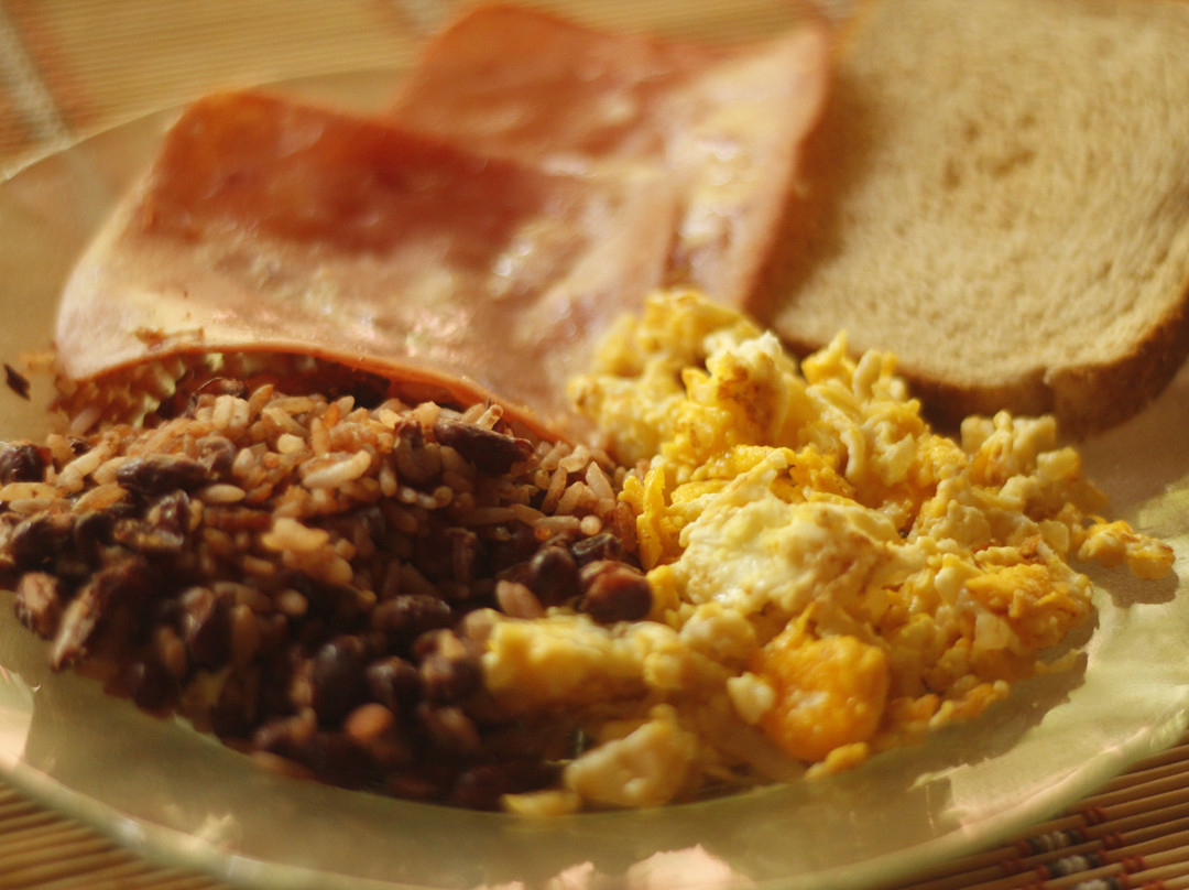 Vida Tropical B and B主图